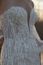 1421  size:14 